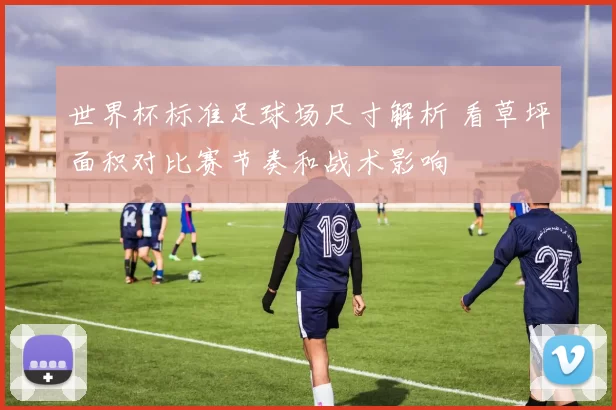 世界杯标准足球场尺寸解析 看草坪面积对比赛节奏和战术影响