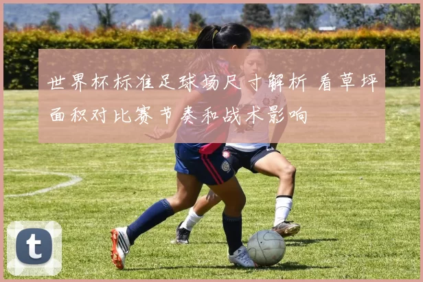 世界杯标准足球场尺寸解析 看草坪面积对比赛节奏和战术影响