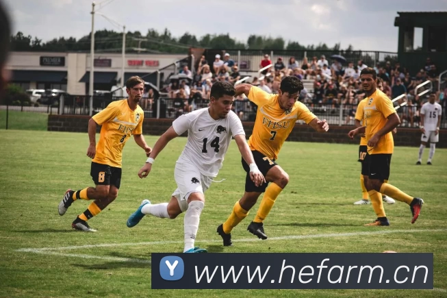 尊龙凯时人生就是搏(CHINA)官方网站品牌故事